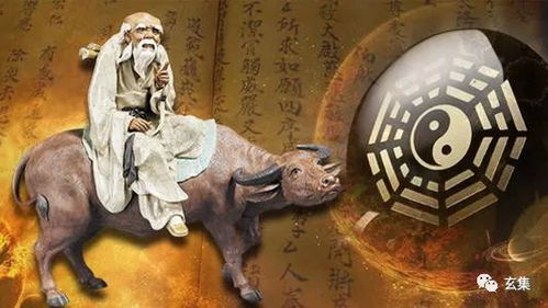 三、  命理逻辑与性格图谱：生肖与星座的特质溯源