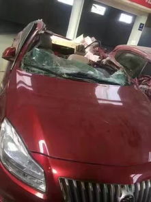 三、车尾贴壁虎的禁忌与注意事项：兼顾美观与平安的考量