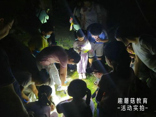 祭坛及古钟的功能解析