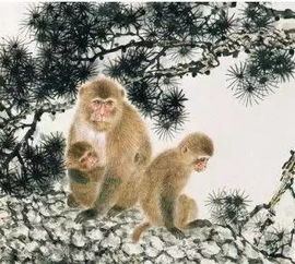 属猴的人对应的生肖是什么？