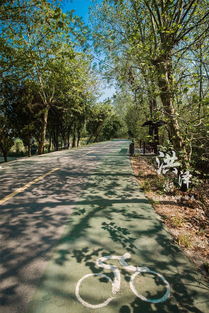 二、 影响树木生长的多元环境因素