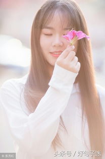 生肖：中华传统文化的象征符号