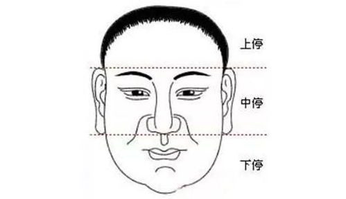 夫妻相之心理学阐释