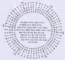 辛酉日柱的人，配偶性格特点有哪些？