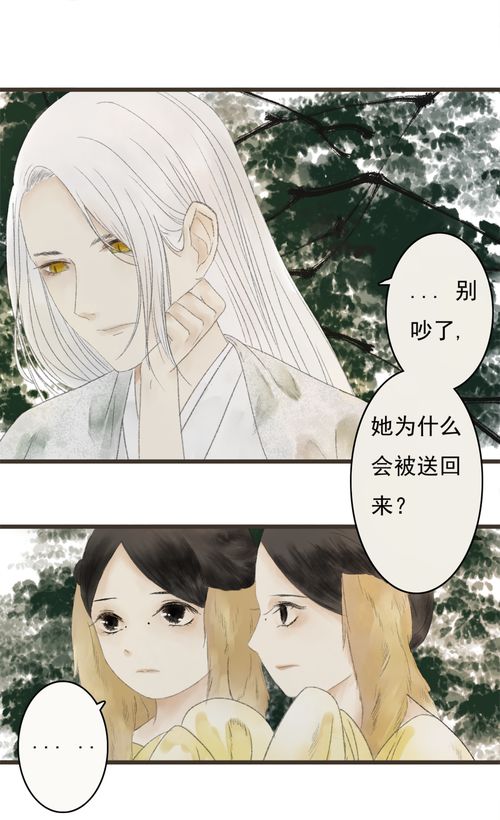 （一） 生肖兔：温柔表象下的深情与脆弱