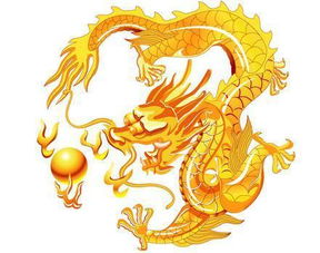 属龙五行喜水缺木的人，适合什么样的手机号码呢？