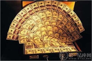 六、  福洛运势深度解析