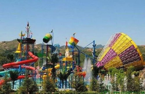 平山加勒比到底有多好玩？