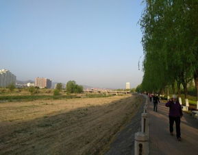 二、门票&开放时间——免费？不一定！