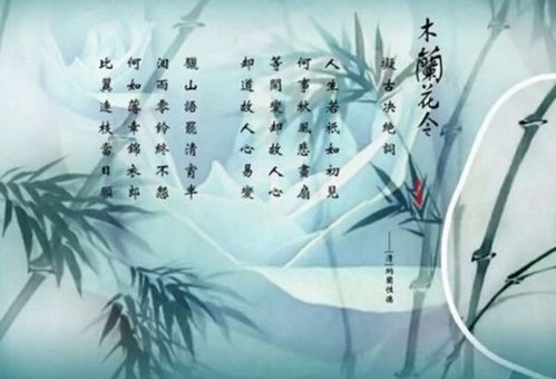“雅” 与 “含” 的互动：和谐共生