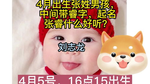 （四）四字及以上复合式姓名示例