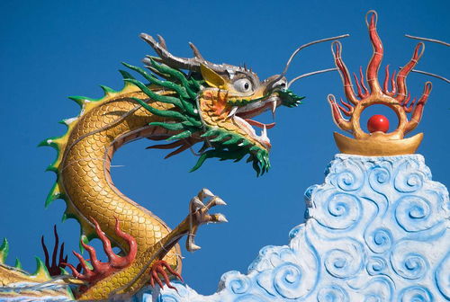 属龙人2024年运势及运程详解，全年运势如何？