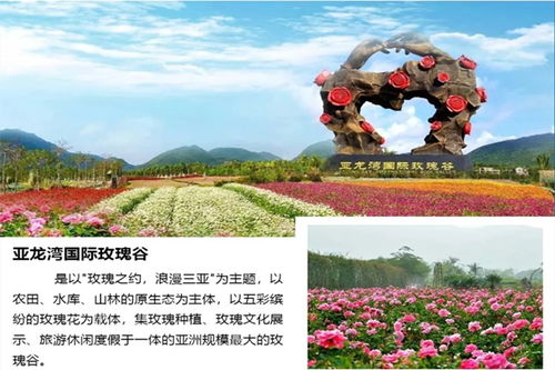 订票方法复杂到哭！