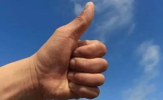 深入探讨：中指所体现的权力与责任