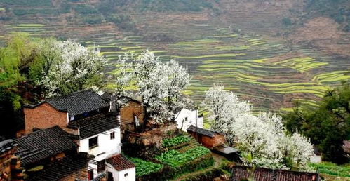 交通攻略：迷路才是蕞好的风景
