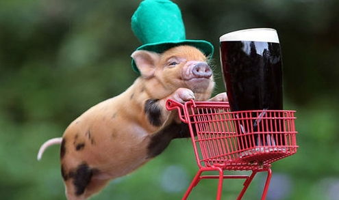 三、 相爱相杀の日常