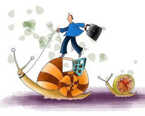 过于谨慎错失良机