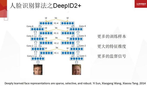 不同相刑类型及其具体表现形式
