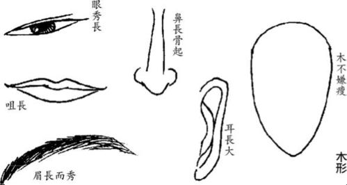 木形人的性格特征