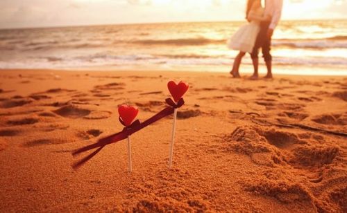 两个属狗的人结婚会怎样？他们的婚姻会幸福吗？