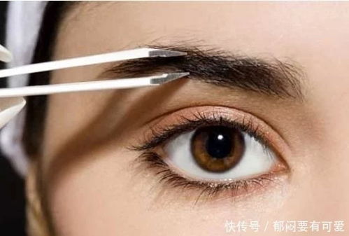 眉毛的特征与友谊