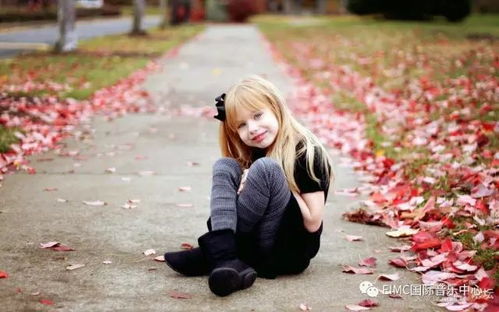 基于十二生肖命理学的气质分析与命名策略