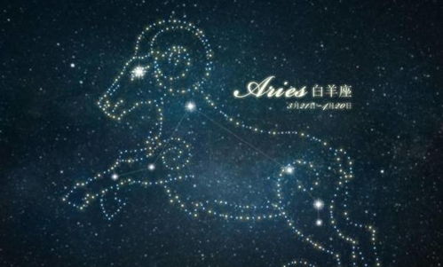 2．认知与决策：较高效但需警惕过度承诺