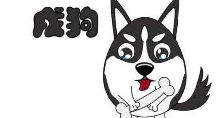 1994年属狗男性2026年运势及完整运程具体内容是什么？