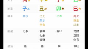 丁卯日八字命理中，各时辰的命理特点具体如何分析？