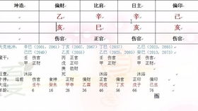 一　八门伏吟与天心星乙奇之相互作用——以母亲神经病为例