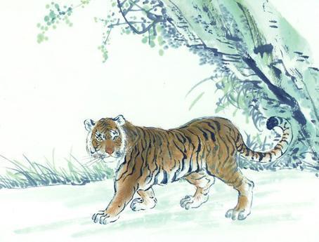 2026年属虎运势大揭秘具体表现和影响有哪些？