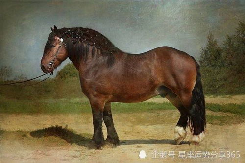 2026年属马女性每月运势具体如何？