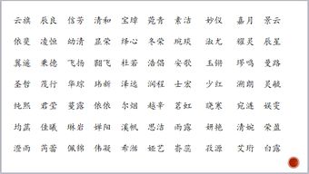 2026年属虎宝宝取个楚辞风格的名字，2023年出生的虎宝宝名字如何取最旺？