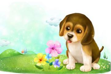 十二生肖狗对应哪年，龙狗相配吗？男狗女龙婚姻结局如何？这究竟意味着什么？