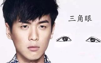 事业进取心与感情运势的复杂性