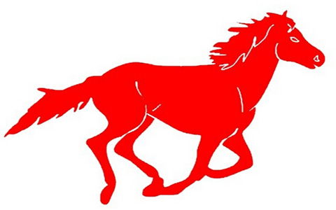 属马人今天运势如何，适合打麻将吗？