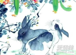 女方属龙男方属兔婚姻是否般配，兔妈龙爸生出的属兔孩子命运如何？