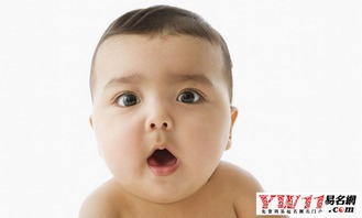 姓刘的男孩取什么名字好？有没有什么好的建议？