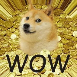 三、 星相风水视角下对“众猎犬”梦境之综合评估