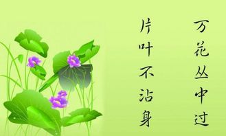 哪个星座能在花丛中漫步却始终保持一片叶子也不沾身？
