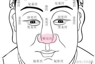 3. 面部完整性的禁忌