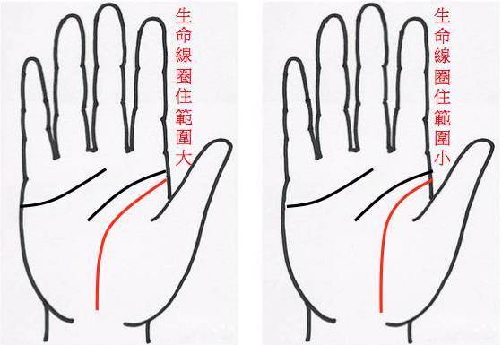 ：生命线的象征意义与分叉预兆