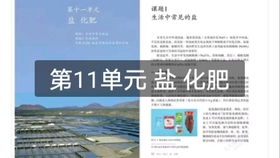 近义词与造句：这一些词都那么虚伪