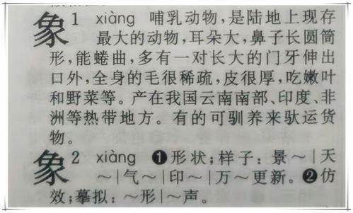 划沉重点1:避开较高频雷区——这一些词跟