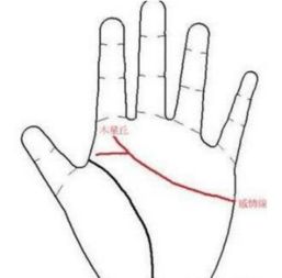 豪门婚姻与手相特征：一种社会经济现象的解读