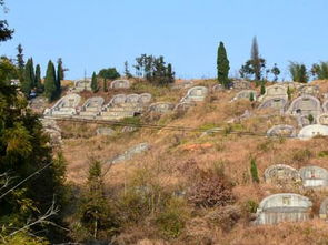 三、  仪式操作的严谨性：从择日到暖坑的规范流程