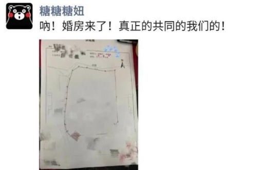 ：惯与住宅环境与风水的学术视角