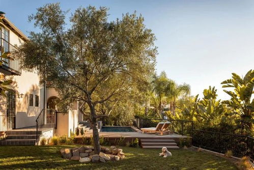 农家后院六棵绿树分别对应哪个生肖，这六绿树是什么生肖的象征？