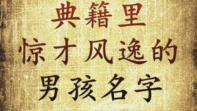 三、文学典籍里的宝藏——随手摘句当名字，顺便抖出几句古文作背景。