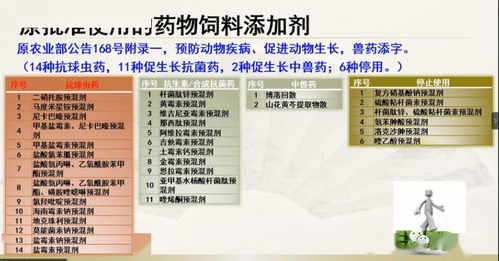 2．仪式格局与环境布置的规范要求